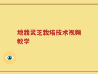 地栽灵芝栽培技术视频教学