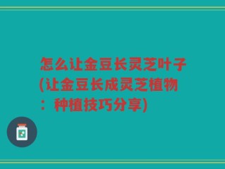 怎么让金豆长灵芝叶子(让金豆长成灵芝植物：种植技巧分享)