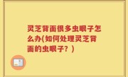 灵芝背面很多虫眼子怎么办(如何处理灵芝背面的虫眼子？)