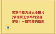 灵芝供奉方法大全图片(掌握灵芝供奉的全部步骤！一篇完整的指南