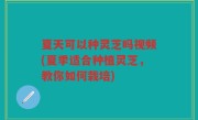 夏天可以种灵芝吗视频(夏季适合种植灵芝，教你如何栽培)