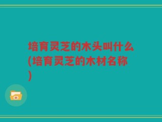 培育灵芝的木头叫什么(培育灵芝的木材名称)