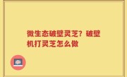 微生态破壁灵芝？破壁机打灵芝怎么做