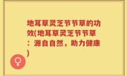 地耳草灵芝节节草的功效(地耳草灵芝节节草：源自自然，助力健康)
