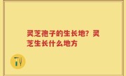 灵芝孢子的生长地？灵芝生长什么地方