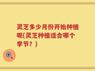 灵芝多少月份开始种植呢(灵芝种植适合哪个季节？)