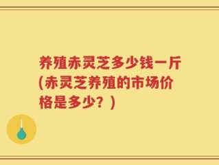 养殖赤灵芝多少钱一斤(赤灵芝养殖的市场价格是多少？)