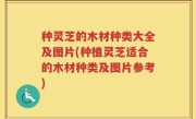 种灵芝的木材种类大全及图片(种植灵芝适合的木材种类及图片参考)