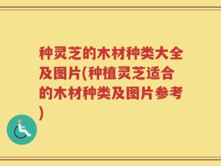 种灵芝的木材种类大全及图片(种植灵芝适合的木材种类及图片参考)