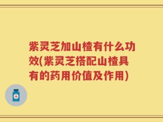 紫灵芝加山楂有什么功效(紫灵芝搭配山楂具有的药用价值及作用)