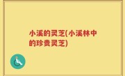 小溪的灵芝(小溪林中的珍贵灵芝)
