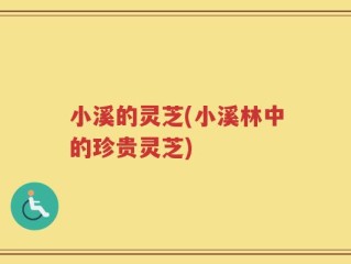 小溪的灵芝(小溪林中的珍贵灵芝)