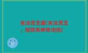 关注灵芝菌(关注灵芝，探究其神奇功效)