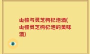 山楂与灵芝枸杞泡酒(山楂灵芝枸杞泡的美味酒)