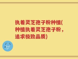 执着灵芝孢子粉种植(种植执着灵芝孢子粉，追求极致品质)