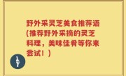 野外采灵芝美食推荐语(推荐野外采摘的灵芝料理，美味佳肴等你来尝试！)