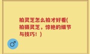 拍灵芝怎么拍才好看(拍摄灵芝，惊艳的细节与技巧！)