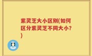 紫灵芝大小区别(如何区分紫灵芝不同大小？)