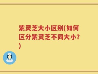 紫灵芝大小区别(如何区分紫灵芝不同大小？)