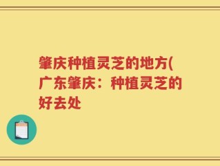 肇庆种植灵芝的地方(广东肇庆：种植灵芝的好去处