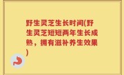 野生灵芝生长时间(野生灵芝短短两年生长成熟，拥有滋补养生效果)