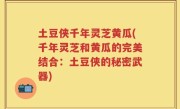 土豆侠千年灵芝黄瓜(千年灵芝和黄瓜的完美结合：土豆侠的秘密武器)