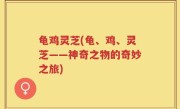 龟鸡灵芝(龟、鸡、灵芝——神奇之物的奇妙之旅)