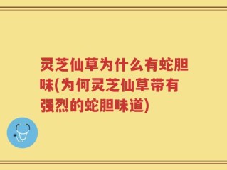 灵芝仙草为什么有蛇胆味(为何灵芝仙草带有强烈的蛇胆味道)