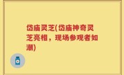 岱庙灵芝(岱庙神奇灵芝亮相，现场参观者如潮)