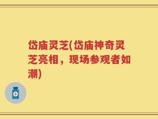 岱庙灵芝(岱庙神奇灵芝亮相，现场参观者如潮)