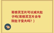 葛根灵芝片可以减大肚子吗(葛根灵芝片会导致肚子变大吗？)