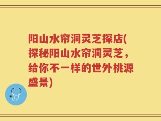 阳山水帘洞灵芝探店(探秘阳山水帘洞灵芝，给你不一样的世外桃源盛景)