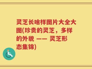 灵芝长啥样图片大全大图(珍贵的灵芝，多样的外貌 —— 灵芝形态集锦)