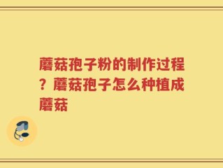 蘑菇孢子粉的制作过程？蘑菇孢子怎么种植成蘑菇