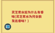 灵芝煮水后为什么有香味(灵芝煮水为何会散发出香味？)