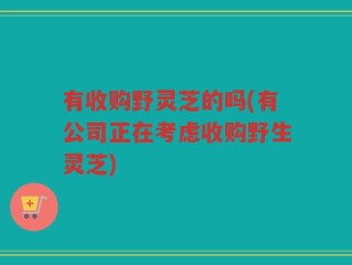 有收购野灵芝的吗(有公司正在考虑收购野生灵芝)