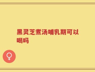 黑灵芝煮汤哺乳期可以喝吗