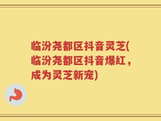 临汾尧都区抖音灵芝(临汾尧都区抖音爆红，成为灵芝新宠)