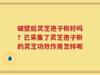 破壁后灵芝孢子粉好吗？已采集了灵芝孢子粉的灵芝功效作用怎样呢