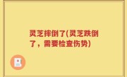 灵芝摔倒了(灵芝跌倒了，需要检查伤势)