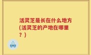活灵芝是长在什么地方(活灵芝的产地在哪里？)