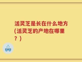 活灵芝是长在什么地方(活灵芝的产地在哪里？)