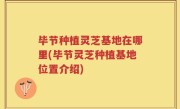 毕节种植灵芝基地在哪里(毕节灵芝种植基地位置介绍)