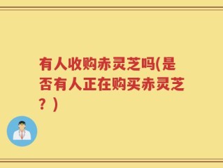 有人收购赤灵芝吗(是否有人正在购买赤灵芝？)