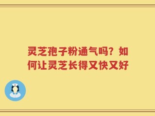 灵芝孢子粉通气吗？如何让灵芝长得又快又好