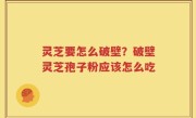 灵芝要怎么破壁？破壁灵芝孢子粉应该怎么吃