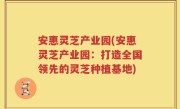 安惠灵芝产业园(安惠灵芝产业园：打造全国领先的灵芝种植基地)