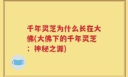 千年灵芝为什么长在大佛(大佛下的千年灵芝：神秘之源)