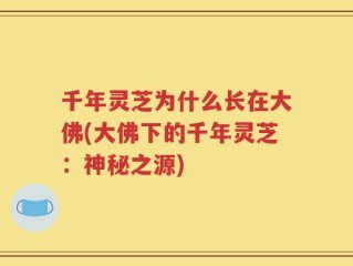 千年灵芝为什么长在大佛(大佛下的千年灵芝：神秘之源)