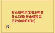 野山楂和灵芝泡水喝有什么功效(野山楂和灵芝泡水喝的好处)